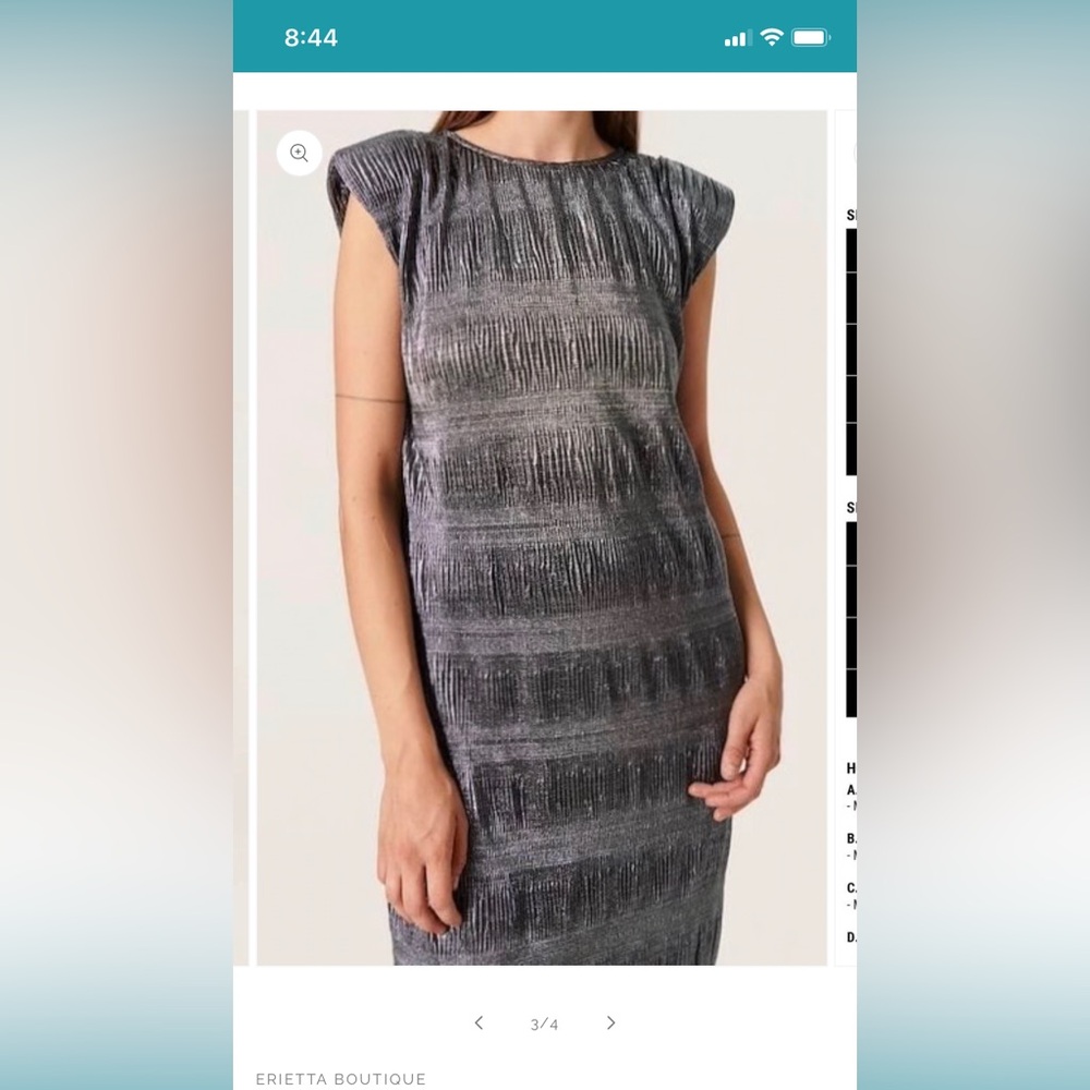 EUC silver Soaked in Luxury Dress